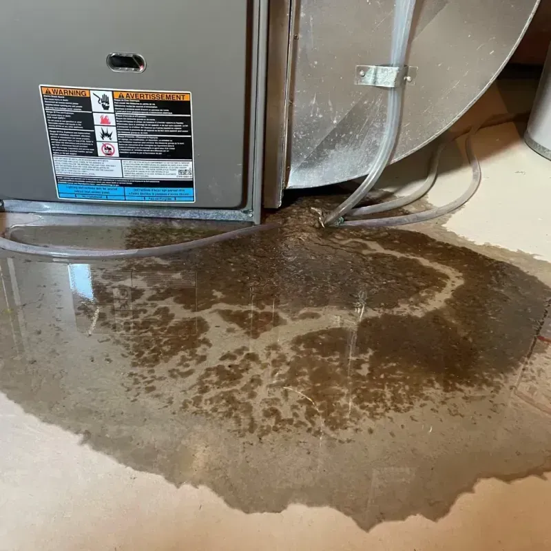 Appliance Leak Cleanup in Louisa, VA